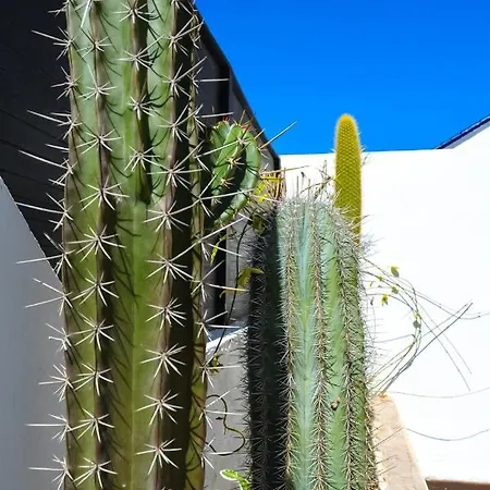 Patricia Hébergement de vacances